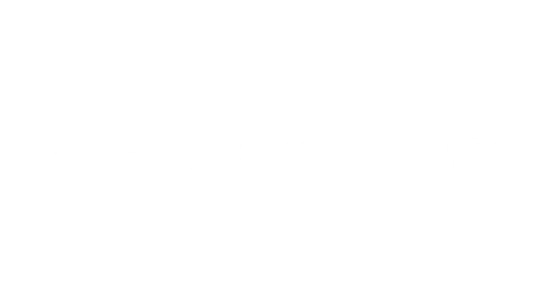 Project Insight